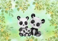 Personalized watercolor painting panda bear decoration for photos in photo studio