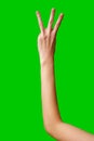 Human Hand Displaying the Number Three Against a Solid Green Background Royalty Free Stock Photo