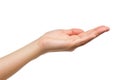 Persons Hand Holding an Object High in the Air