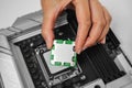 A persons hand holds a green microchip above a computer motherboard Royalty Free Stock Photo