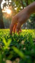A persons hand reaching into green grass to retrieve something lost or hidden on the ground Royalty Free Stock Photo