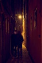 Persons shadow alley night
