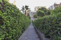 Perspective bottom shot of relaxing garden stone road between buildings in Izmir at Turkey Royalty Free Stock Photo