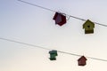 Perspective close-up shoot of sweet bird houses at sunset time Royalty Free Stock Photo