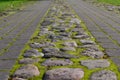 Perspective of country cobblestone road. Grass and moss sprout between the road stones Royalty Free Stock Photo