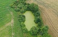 Perspective drone aerial view on agricultural landscape with swamp pond, trees, green field and yellow field