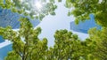 Perspective exterior pattern blue glass wall modern buildings with green tree leaves