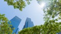 Perspective exterior pattern blue glass wall modern buildings with green tree leaves