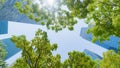 Perspective exterior pattern blue glass wall modern buildings with green tree leaves