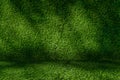 A Perspective Grass Green wall and floor interior background