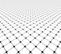 Perspective grid surface Royalty Free Stock Photo