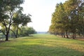 Perspective landscape view of public park with morning light