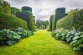 Perspective on oddly shaped yews in the garden of Plas Brondanw, North Wales