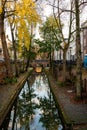 Perspective outdoor view of water reflections of old narrow canal with autumn trees in Amsterdam.