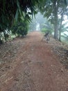 Perspective Photo Of Narrow Rural Dirt Road With Tropical Trees With Parked Bicycle And Fishing Rod Blurring Into The Morning Mist