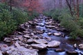 Perspective Photography of a River in the Woods of the Great Smoky Mountains National Park. Royalty Free Stock Photo