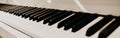 Perspective piano keys black and white monochrome musical instrument