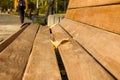 Perspective of a row of benches in an autumn park during the fall of foliage. Park grunge benches in autumn close up. Girl in a Royalty Free Stock Photo