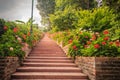 Perspective row of pink and red blooming geranium flowers on sid Royalty Free Stock Photo