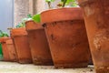 Perspective of several clay flower pots placed on the ground with geranium plants in them Royalty Free Stock Photo