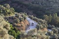 Perspective shot of a curved road Royalty Free Stock Photo