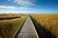 perspective shot of a long wooden walkway over a marsh Royalty Free Stock Photo