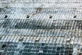 Perspective shot of old glass roof of big greenhouse Royalty Free Stock Photo