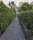 Perspective shot of relaxing green garden stone road between buildings in Izmir at Turkey Royalty Free Stock Photo
