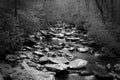 Perspective Slow Shutter Waterscape Photography of a River with Many with Stones in the Woods. Royalty Free Stock Photo
