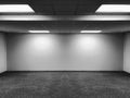 Perspective view of Empty Space Classic Office Room with Row Ceiling LED Light Lamps and Lights Shade on Wall for Gallery Interior