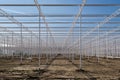 Perspective view on the framework of an industrial glass greenhouse under construction in the Netherlands.