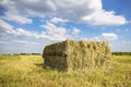 Perspective view of grass compacted in square silage bale in agricultural field and a sky with white clouds Royalty Free Stock Photo