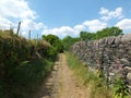 Perspective view of a long narrow country lane running uphill surrounded by high stone walls west yorkshire with wildflowers and