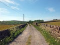 Perspective view of a a long narrow country road surrounded by stone walls and flowers in west yorkshire countryside surrounded Royalty Free Stock Photo