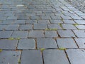 perspective view of loosely set granite cobble stone pavement abstract Royalty Free Stock Photo