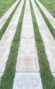 Perspective View of Marble Stone Pattern Sidewalk, Pavement with Line of Grass Texture Background Royalty Free Stock Photo