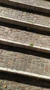 Perspective view of mosaic stairs with plants on the steps Royalty Free Stock Photo