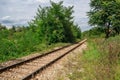 Perspective View Of The Paths Of Old Railroad In The Green Fores Royalty Free Stock Photo