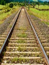 Perspective view of singe railroad track