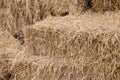 Perspective view of a straw pile after harvest.