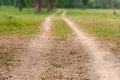 Perspective walkway is the wheel track in park Royalty Free Stock Photo