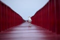 perspective of white dog walking on red wood bridge