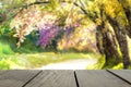 Perspective wood over blur beautiful landscape walkway Royalty Free Stock Photo