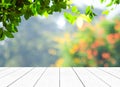 Perspective wood over blur trees with bokeh background Royalty Free Stock Photo