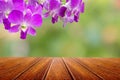 Perspective wood table and thai orchid flower over nature abstract background.