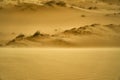 Human footprints in the sand. Rifts and dunes. Grass and trees after the desert. Royalty Free Stock Photo