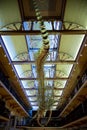 Perth, Australia - December 7, 2020: Skeleton of a blue whale at the Western Australian Boola Bardip museum