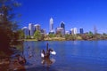 The Skyline of Perth City with a black swan in a lake close to the beach