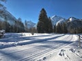 Pertisau, Karwendeltal at the Alps in Tyrol, Austria Royalty Free Stock Photo