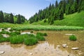 Pertuis lake - glacial lake that dries up in summer, at 1620 m Royalty Free Stock Photo